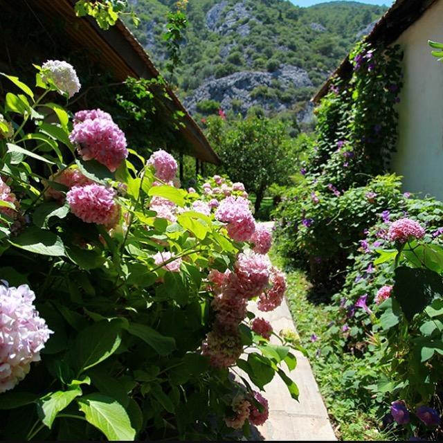Dolunay Apart Hotel Çıralı Esterno foto