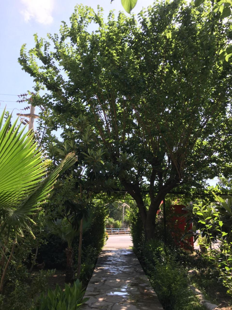 Dolunay Apart Hotel Çıralı Esterno foto