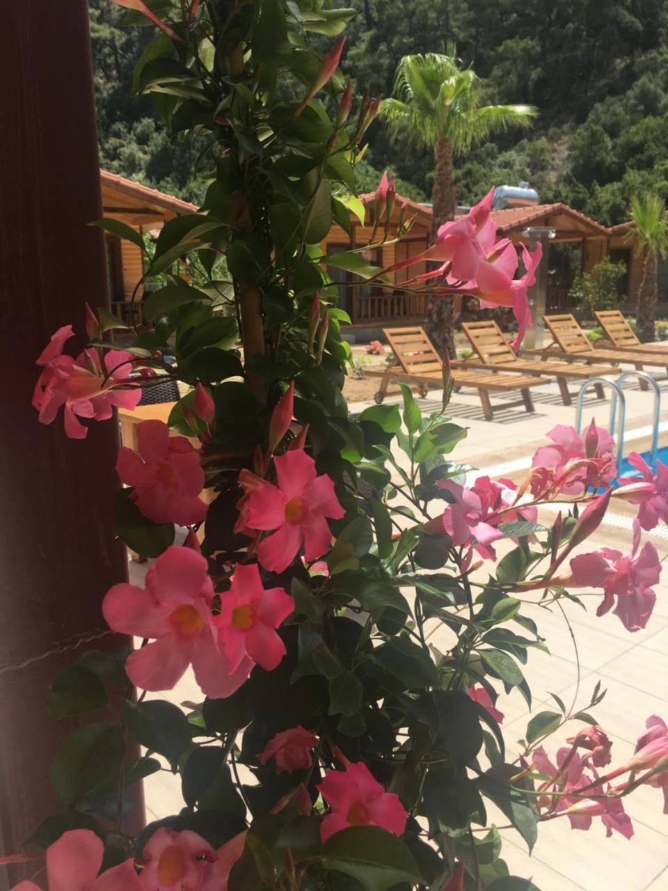 Dolunay Apart Hotel Çıralı Esterno foto