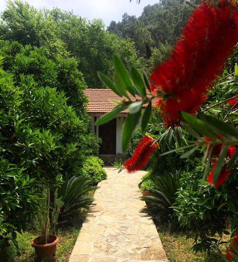 Dolunay Apart Hotel Çıralı Esterno foto